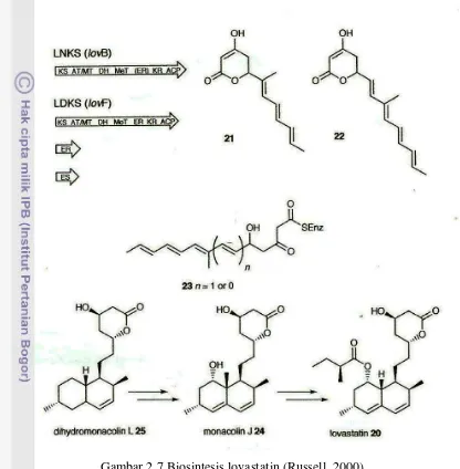 Gambar 2.7 Biosintesis lovastatin (Russell, 2000) 