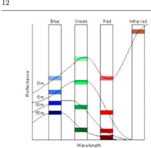 Gambar 2 Diagram untuk menunjukkan bagai- bagai-mana spectra suatu habitat (seperti macroalgae atau seagrass) yang mungkin berubah dengan  ber-tambahnya kedalaman untuk pengukuran radian empat panjang gelombang sensor biru, hijau,  me-rah dan near infra-re