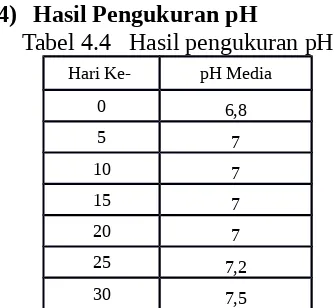 Tabel 4.6  Prosentase Phospor