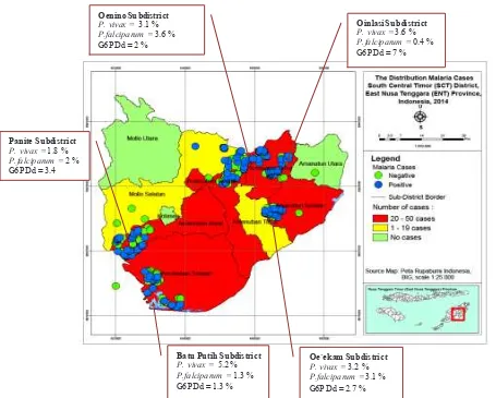 Figure 2. The distribution of the G6PDd and malaria cases in Timor Tengah Selatan district, Nusa Tenggara Timur Province, Indonesia  