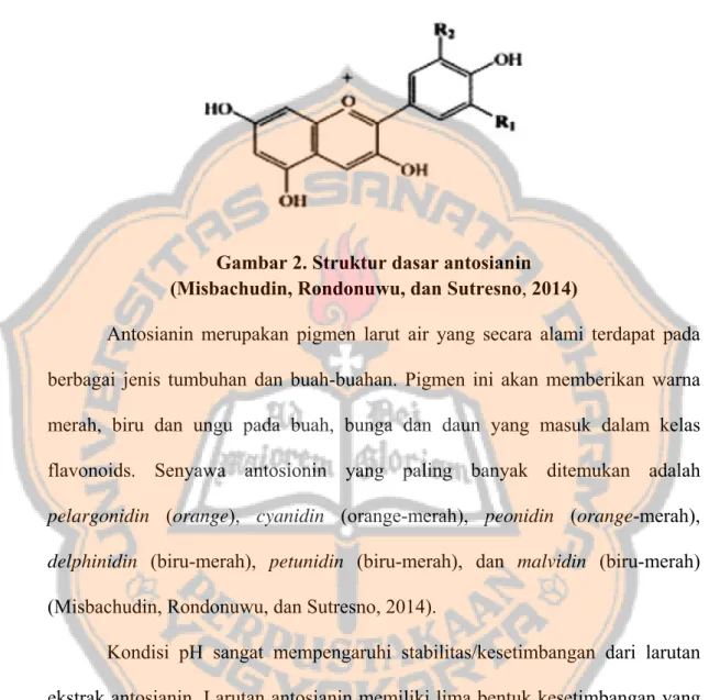 Gambar 2. Struktur dasar antosianin  (Misbachudin, Rondonuwu, dan Sutresno, 2014) 