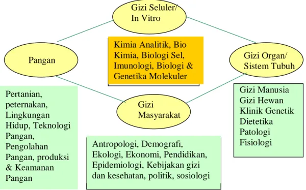 Gambar 1  Ruang Lingkup Ilmu Gizi berdasarkan Komisi Pangan dan Gizi  Amerika 