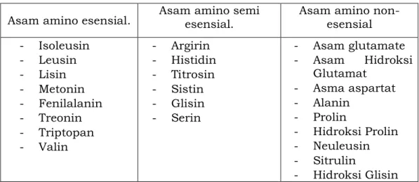 Tabel Macam-macam asam animo 