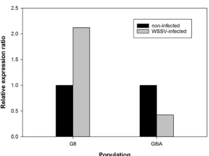 Fig. 4. PmVRP15 relative expression ratios in G8 and G8iA in response to WSSV infection