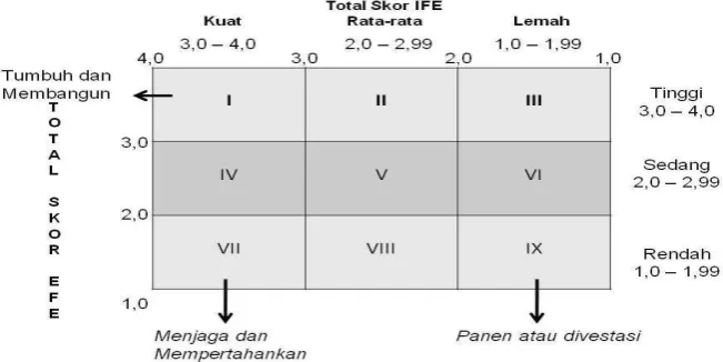 Gambar 1. Matriks IE BIT 
