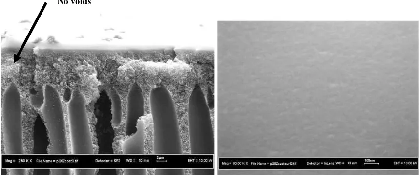 Figure 5. SEM picture of asymmetric coated polyimide-zeolite mixed matrix membrane at the: (a) cross section and (b) outer surface image layer  