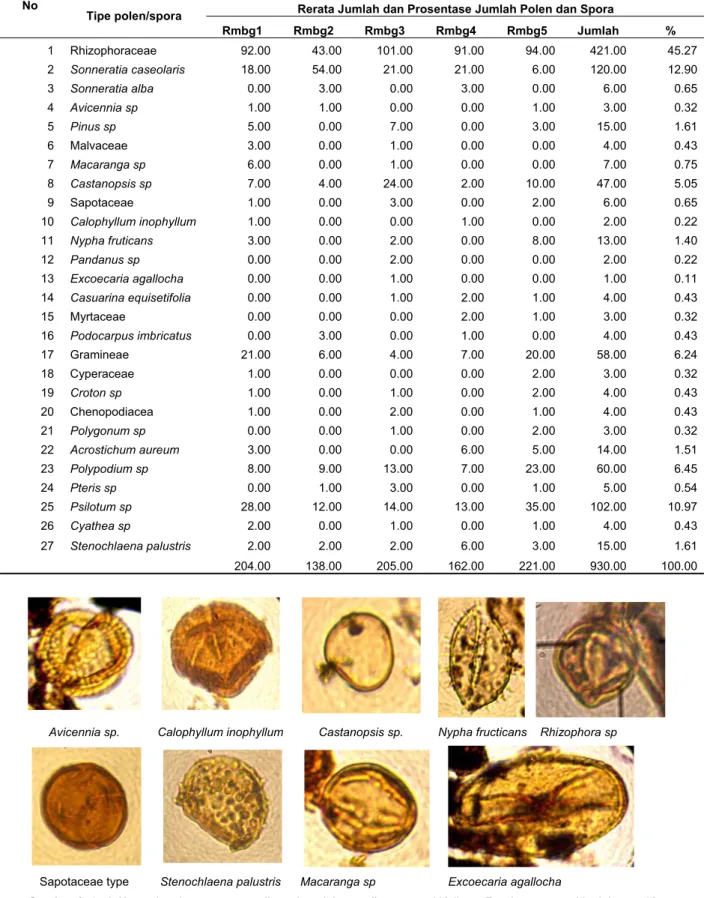 Gambar 1.  jenis/tipe polen dan spora yang ditemukan dalam sedimen pantai Kaliuntu Rembang sampai kedalaman 10cm 