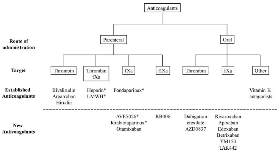 Gambar 3. Diagram klasifikasi anti koagulan4 