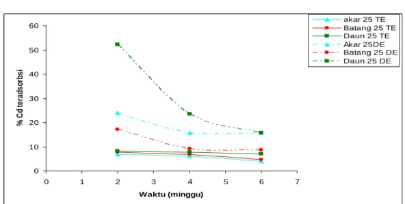 Tabel 4.2  Adsorpsi Cd Tanaman Bayam Duri  Dengan  Variasi Konsentrasi       Pada Masing-masing Jaringan