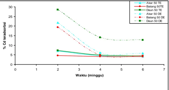 Gambar  4.1.  Pengaruh lama kontak tanamanan bayam duri (akar, batang, daun)  terhadap %Cd(II) teradsorpsi pada perlakuan 25 ppm tanpa EDTA dan  dengan EDTA