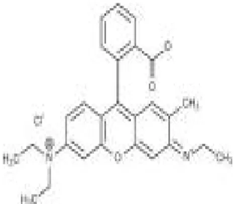 Gambar 2.1. Struktur Rhodamin B 