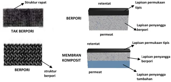 Gambar 2.5. Struktur cross-section membran UF simetrik dan asimetrik  Membran simetrik  (yaitu terdiri  atas membran  porous/berpori  dan nonporous/tak  berpori)  ketebalannya  berkisar  antara  10  –  200  µm,  dimana  ketebalan  suatu  membran  dapat  me