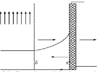 Gambar 2.6.   Konsep dasar pemisahan dengan membran dan    Polarisasi Konsentrasi pada kondisi steady-state  Pada kondisi batas (boundary) jika : 