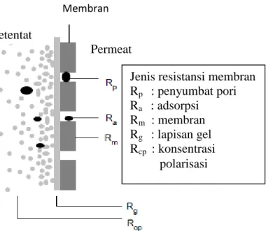 Gambar 2.7. Tipe resistensi pada membran saat perpindahan massa        melewati membran dengan driving force tekanan