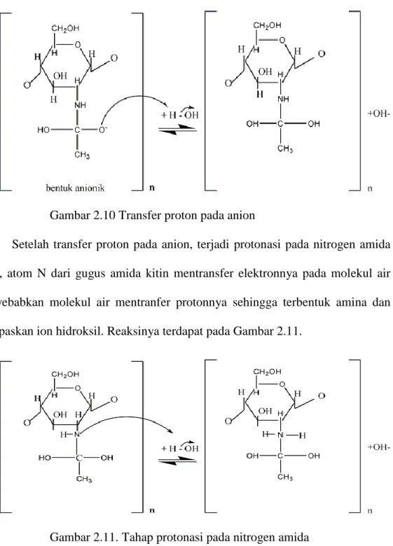 Gambar 2.10 Transfer proton pada anion 