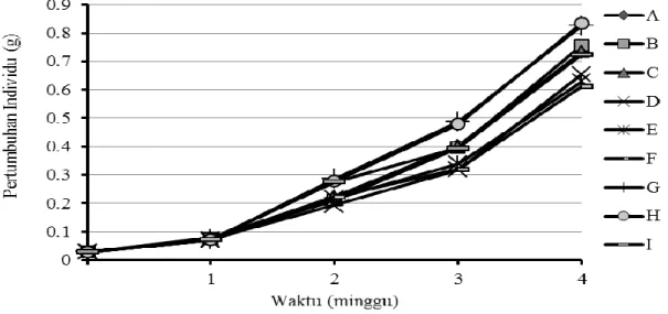 Gambar 1. Pertumbuhan bobot rata-rata individu pasca larva vaname (Litopenaeus vannamei)  dipelihara selama empat  minggu penelitian pada salinitas 2 ppt