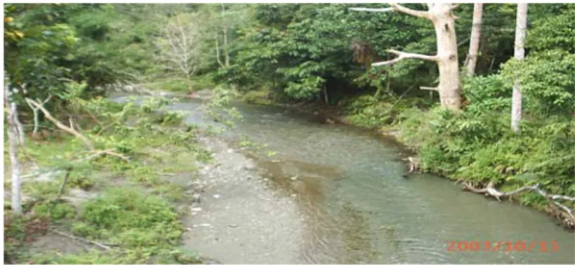 Gambar 6  Kondisi Badan Sungai yang Berhulu di Gunung Cycloops                                    dan Mengalir ke Danau Sentani