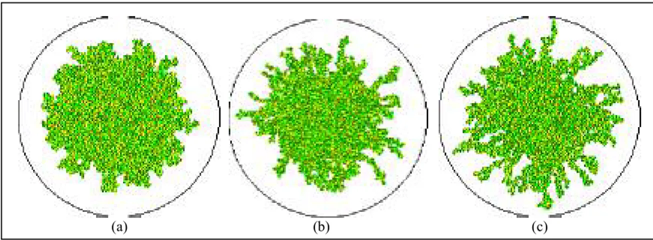 Gambar 3. Hasil simulasi untuk range permeability awal 100 md  (a) permeability contrast 50 : 1, (b) permeability contrast 100 : 1 