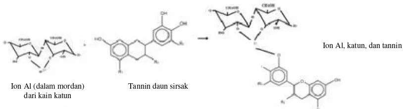 Gambar 4. Reaksi antara Zat Mordan, Sellulosa Pada Kain, dan Tannin Daun Sirsak (Sumber: Wilujeng, Kusnawati, & Pratiwi, 2010: 8)