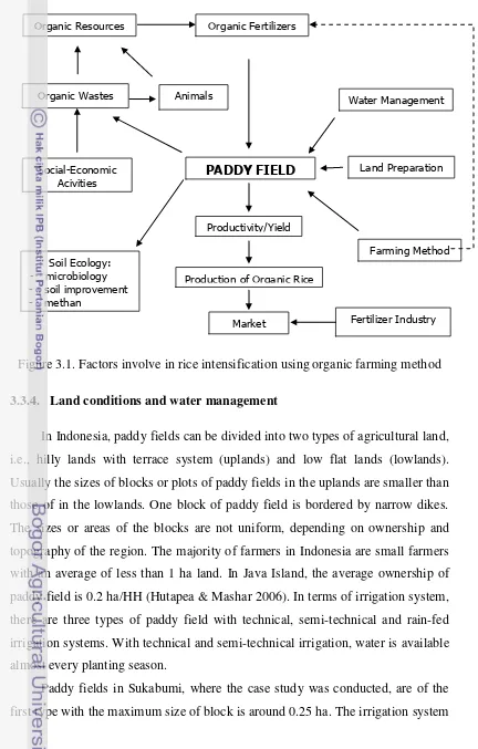 Figure 3.1. Factors involve in rice intensification using organic farming method 