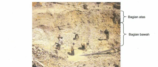 Foto 1 Kenampakan aluvium tua (point bar) di daerah Nanga Betung, yang menjadi lahan penambangan tradisional bahan galian emas