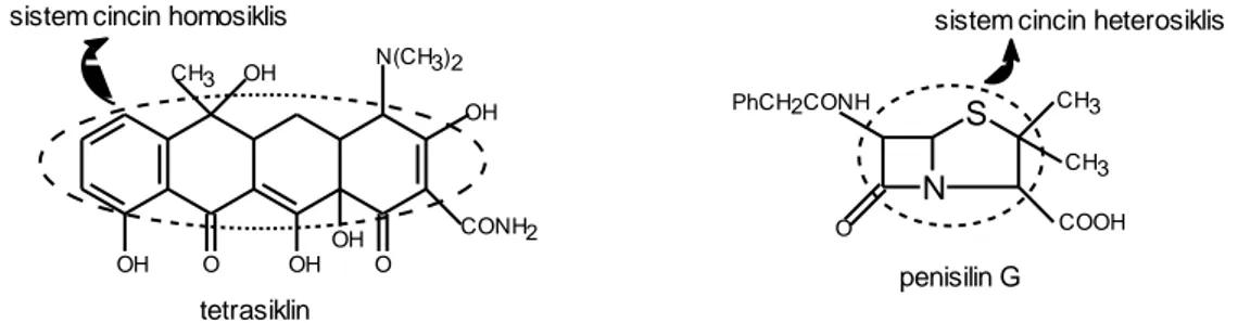 Gambar 3.4. Contoh senyawa polisiklis homosiklis dan heterosiklis 