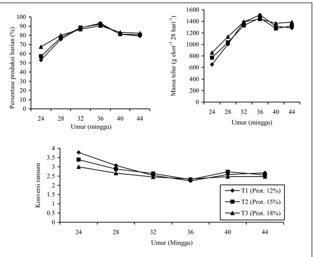 Gambar 2.  Dampak taraf protein ransum saat periode pertumbuhan (umur 12-20 minggu) terhadap performans saat periode  produksi (umur 21-44 minggu) 