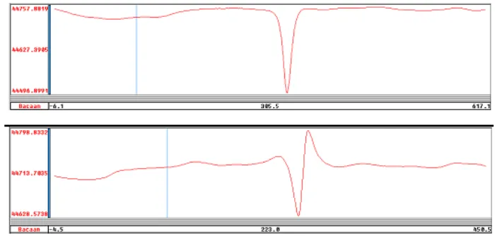 Gambar 1. Penampang anomali magnet pada dua lintasan yang berbeda, atas line-9 dan bawah line-11