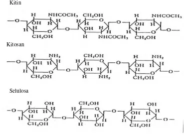 Gambar 1  Struktur kimia kitin, kitosan dan selulosa (Tsugita 1990) 