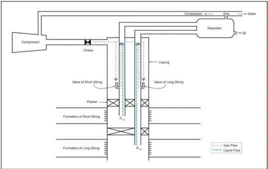 Gambar 2.1: Ilustrasi Sumur Dual Gas Lift