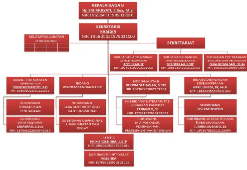Gambar : Struktur Badan Kepegawaian Daerah Kabupaten Rokan Hulu.