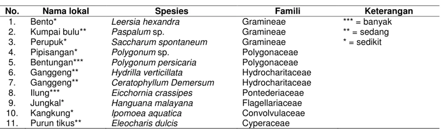 Tabel 1.  Jenis-jenis  tumbuhan  air  di  suaka  perikanan  Awang  Landas  di  Sungai  Barito,  Kalimantan  Selatan 