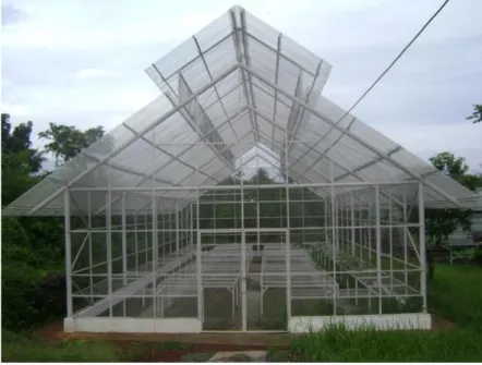 Gambar 4. Rumah tanaman tipe standard peak yang digunakan dalam penelitian. 