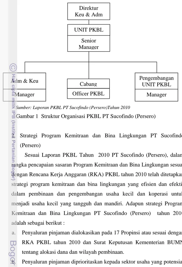 Gambar 1  Struktur Organisasi PKBL PT Sucofindo (Persero) 