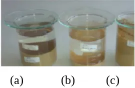 Gambar 4. Foto hasil  dekomposisi  pada suhu 550  C sampel  yang diendapkan  denganpengendap  campuran  (Na2CO3 dan  NaOH);  (a)  LaMnO3,  (b)  Sr0,2La0,8MnO3,  (c)Sr0,4La0,6MnO3,  dan  (d)  hasil  dekomposisi  SrxLa1-xMnO3 dengan  pengendap  campuran((NH4)2CO3 dan NH3)