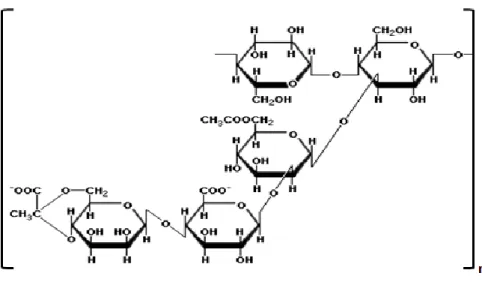 Gambar 1. Struktur kimia gum arab  