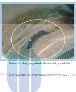Gambar 2. 6 kerusakan erosi permukaan material oleh kavitasi 