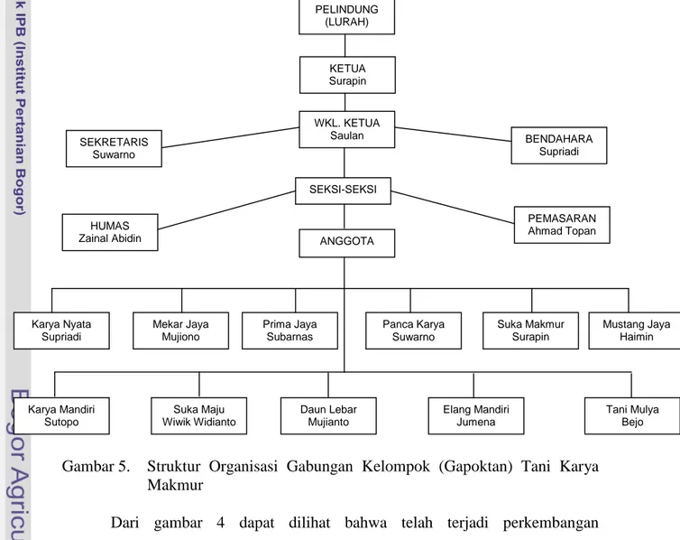Gambar 5.   Struktur Organisasi Gabungan  Kelompok (Gapoktan) Tani Karya  Makmur 