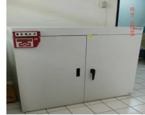 Gambar 5. Pengeringan dengan Menggunakan Oven 