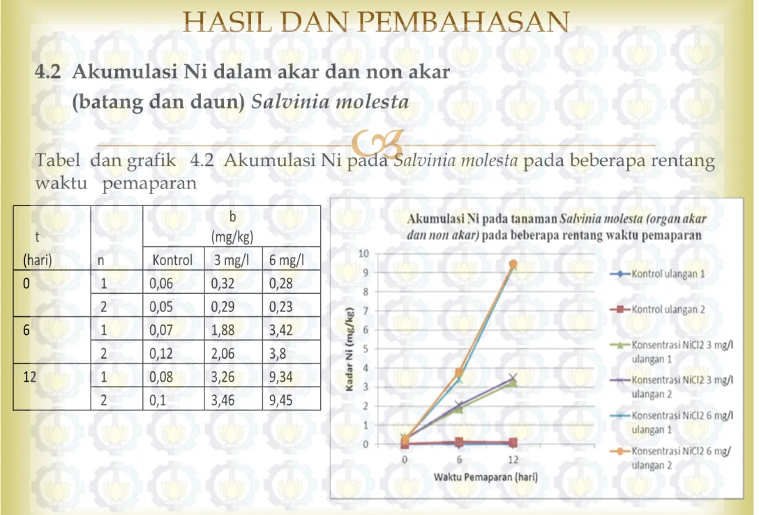 Tabel  dan grafik   4.2  Akumulasi Ni pada Salvinia molesta pada beberapa rentang  waktu   pemaparan 