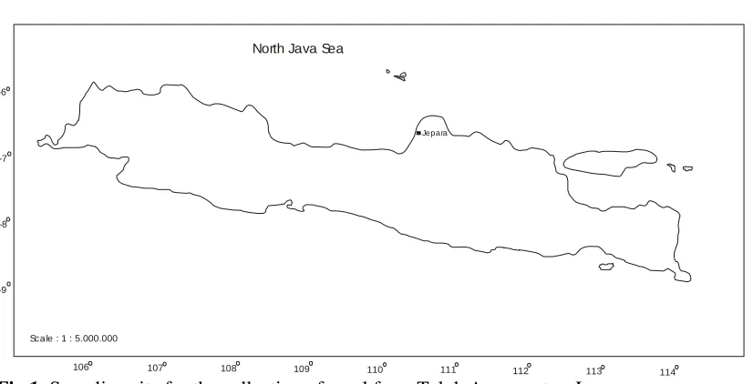 Fig 1. Sampling site for the collection of coral from Teluk Awur water, Jepara .  
