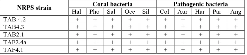 Table 1. Inhibition interaction of NRPS carrying-strains against coral-associated and pathogenic bacteria