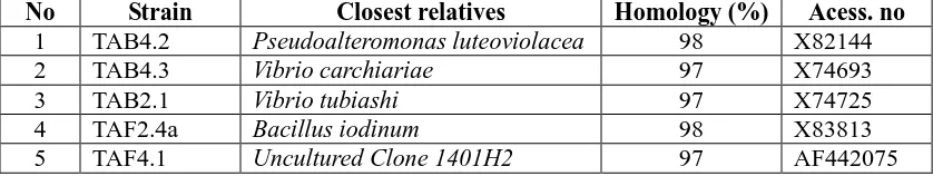 Table 2. Phylogenetic characterization of NRPS strains among coral-associated bacteria