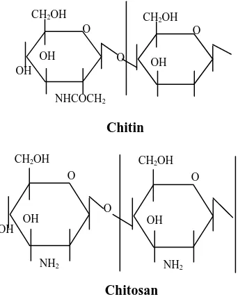 Figure 1 shows the chitin and chitosan molecular structure (Suhardi, 1993, and Hanafi et al, 2000)