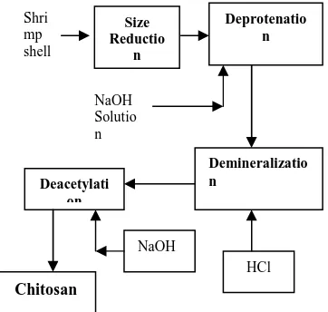 Fig. 2 Schematic Diagram of Chitosan Production  