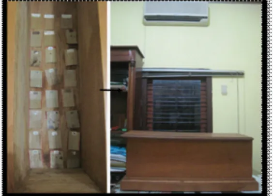 Gambar  7.  Penyimpanan  lontar  di  keropak  (kotak  kayu) dan diletakan di ruangan ber-AC yang