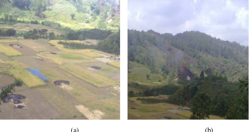 Gambar 2. Teknik penggunaan api (a), Teknik pembakaran kawasan hutan untuk membuka lahan baru (b)