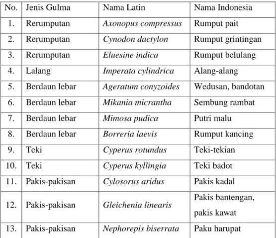 Tabel 2.1. Beberapa jenis gulma diperkebunan 
