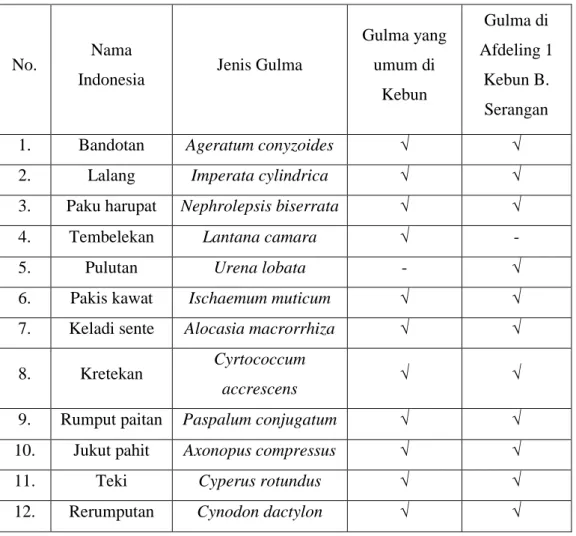Tabel 4.3 Jenis-jenis gulma di perkebunan 