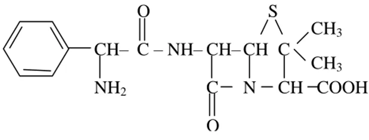 Gambar  1. Struktur kimia ampisilina (asam 6 D (-) -  - amino - fenilasetamido) penisilamat